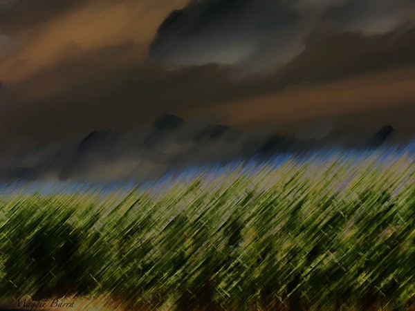 Before The Storm