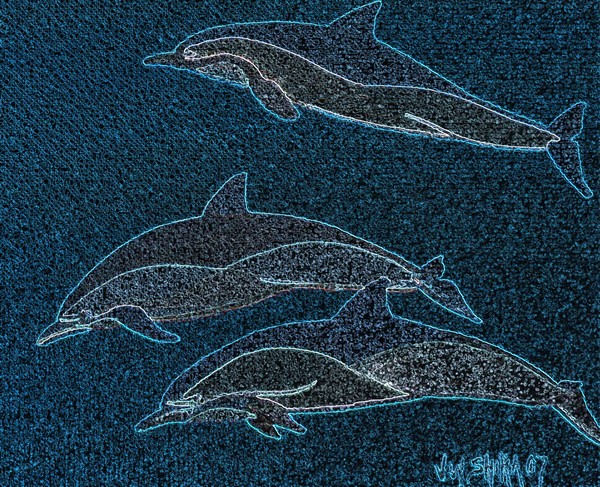 Killer Whales