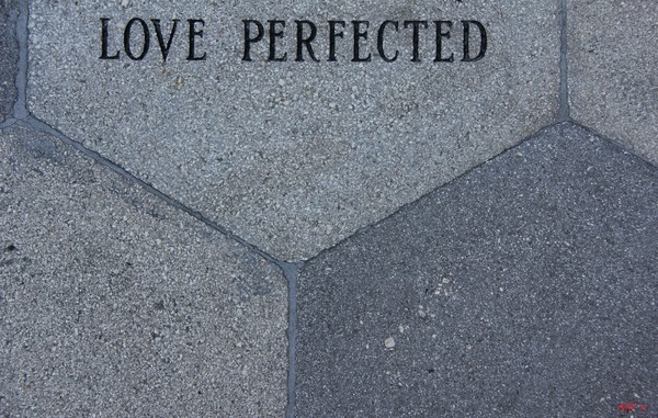 Misguided Love