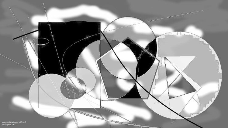space entanglement with bird