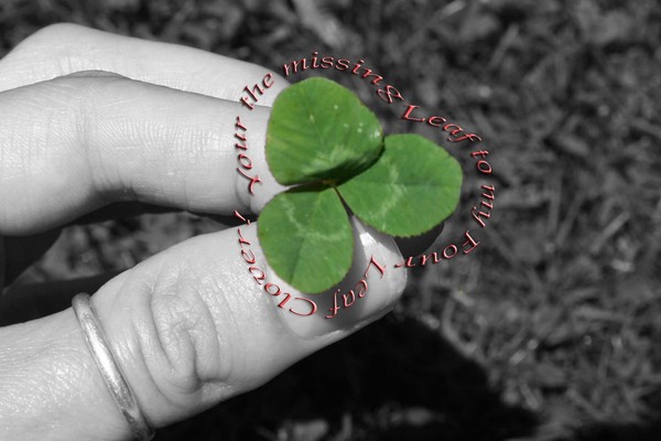 4 leaf clover