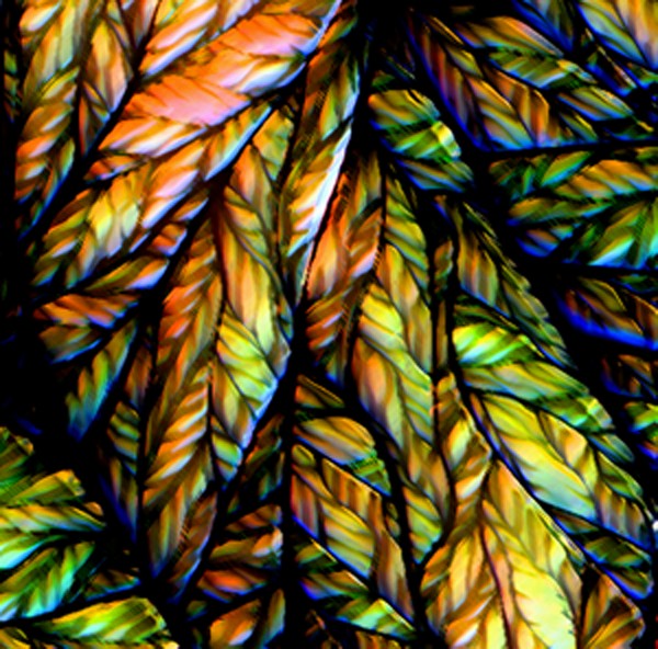 Frozen Colors