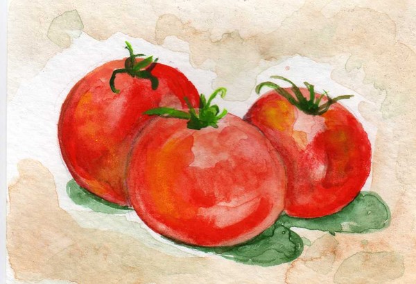 aceo pepper