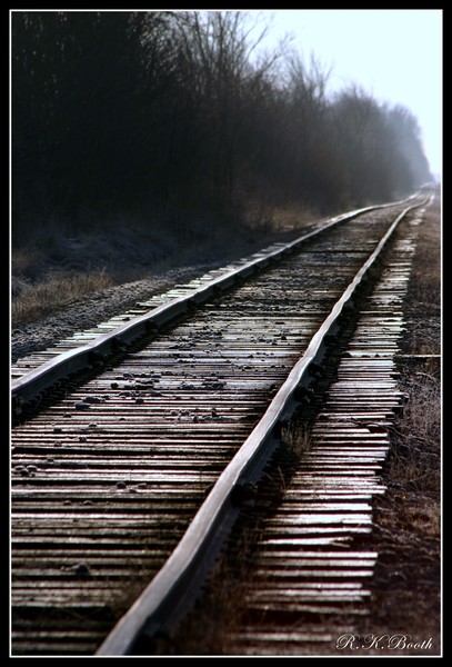 cold morning tracks