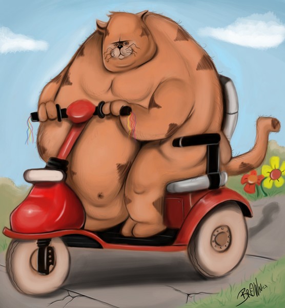 Fat cat