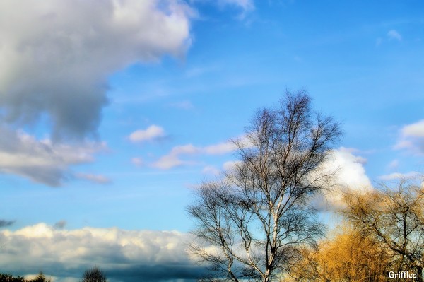 FEBRUARY BLUE SKY