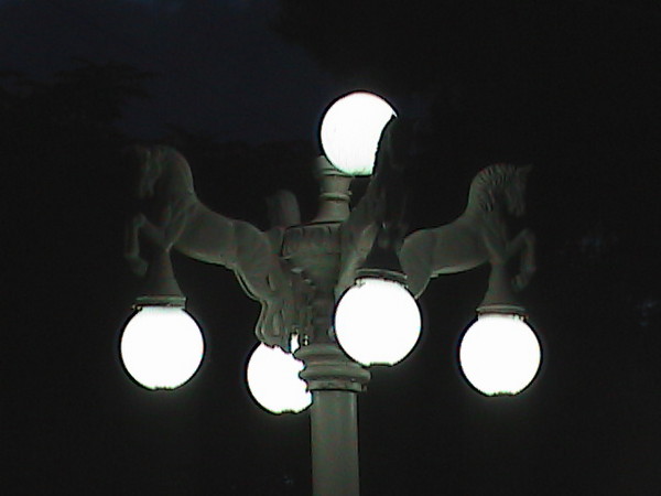 horse lights