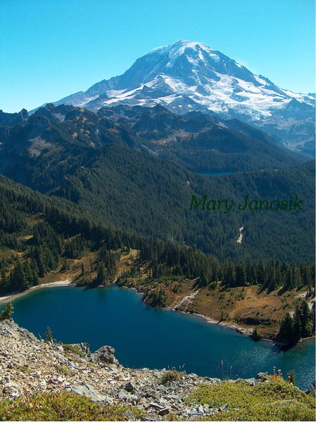 Mt. Rainier from Tolmie Peak