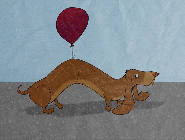 Sausage Dog