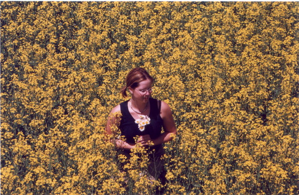 Canola Feilds