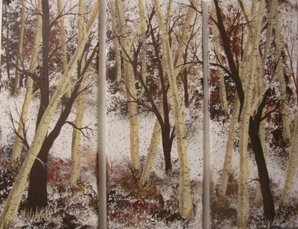 Birch Trees In Brown