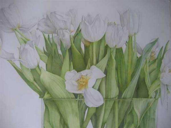 White tulips