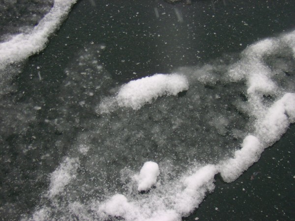 Slush
