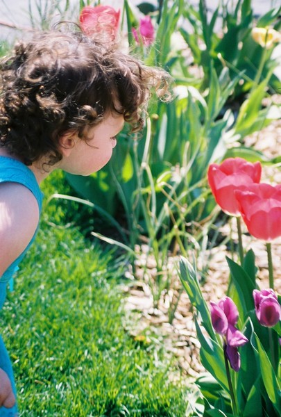 Stop and smell the... tulips?