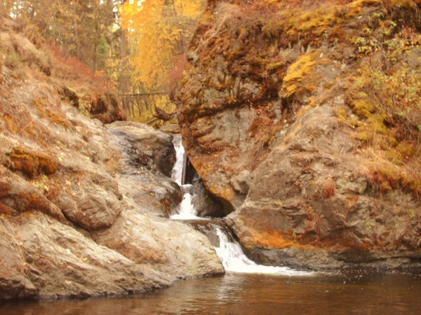 A Touch Of FALL