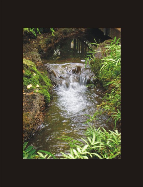 Babbling Brook