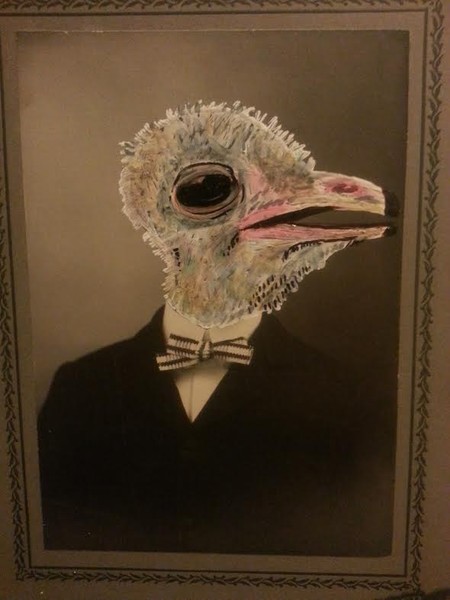 Dapper Ostrich