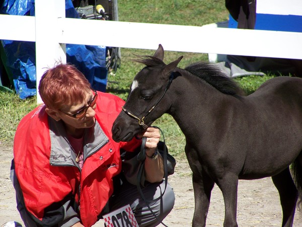 Caledonia Fair 2007