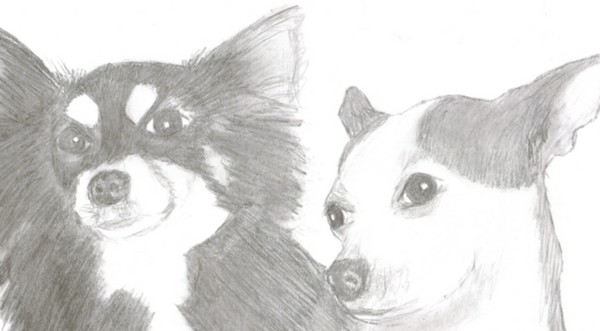 CoCo & Buster