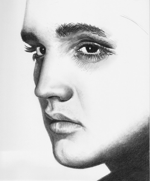 Elvis - work in progress