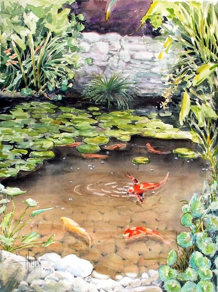 Koi Pond