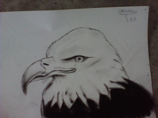 eagle