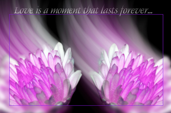 Love is....