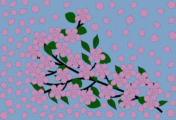 Cherry blossom branches
