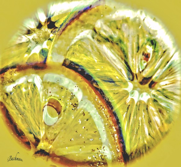 Lemon slices ... Sunday play !