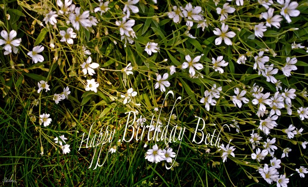  Happy Birthday Beth !