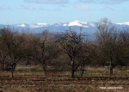 Mala Plana with Snow capped Mountains