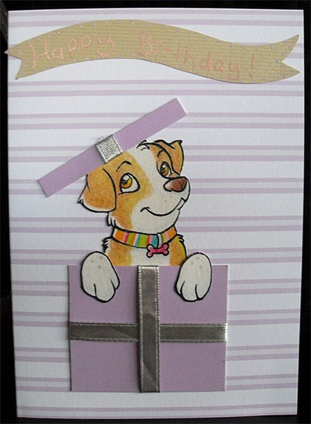 Dog in a box