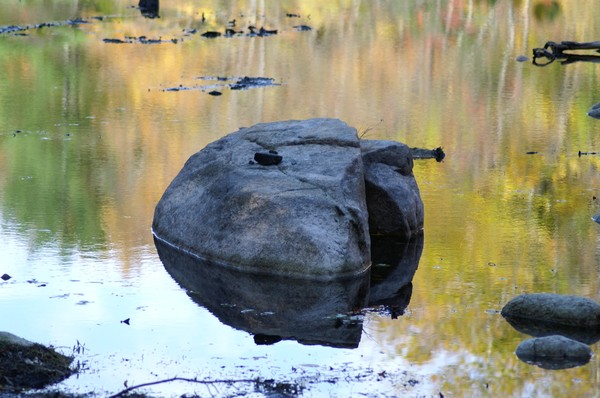 Big Fish, Small Pond