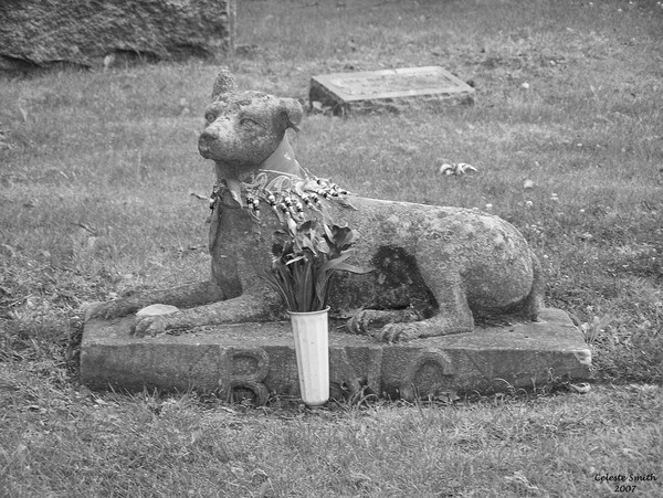 Mans Best Friend(Bing)