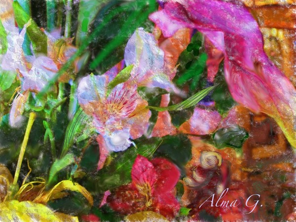 Flowers Galore