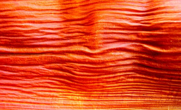 Waves of Fire
