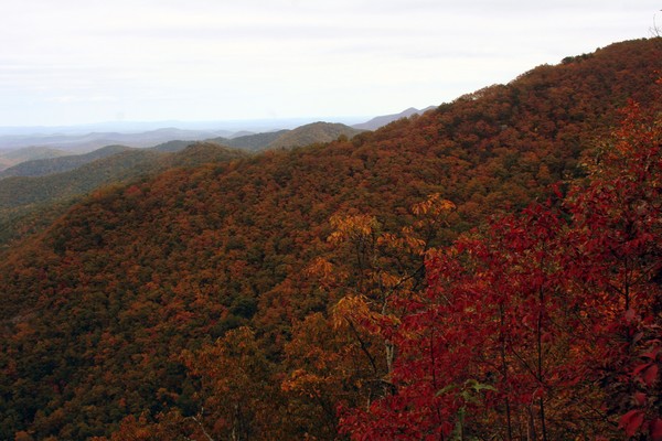 Autumn Reigns