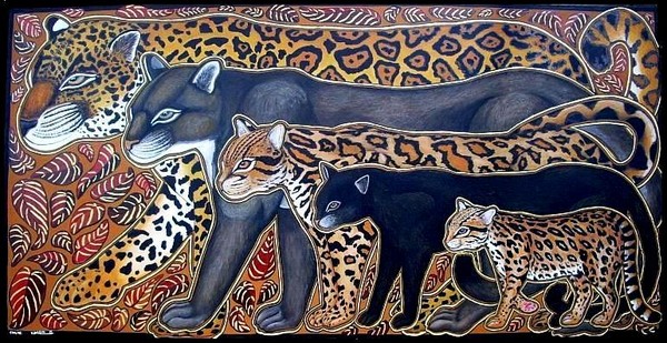 Wild cats from Costa Rica