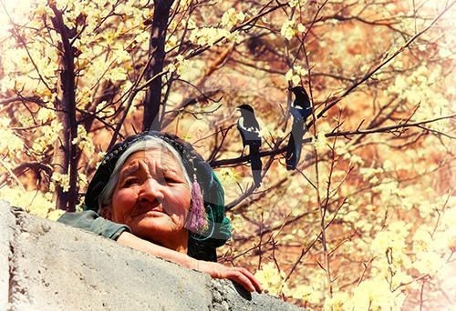 tibetan woman 