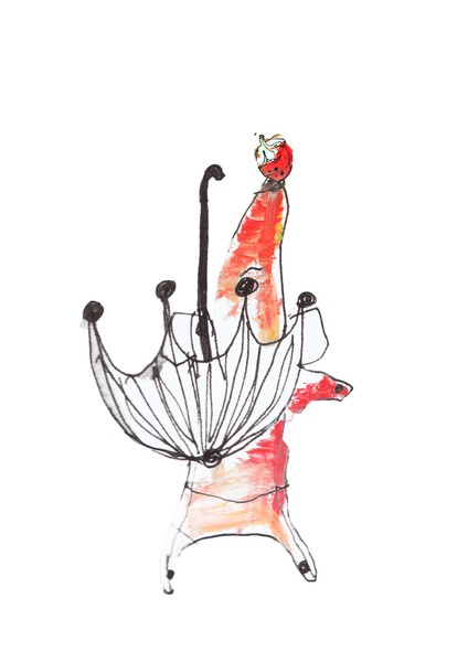 strawberry dog