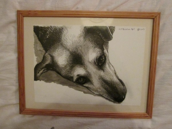 my dog
