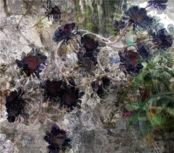 il giardino delle fate