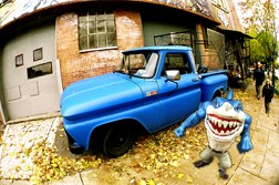 Blue whale