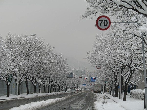 Winter in Anyang