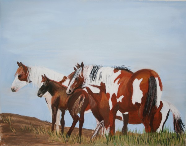 5 Paints