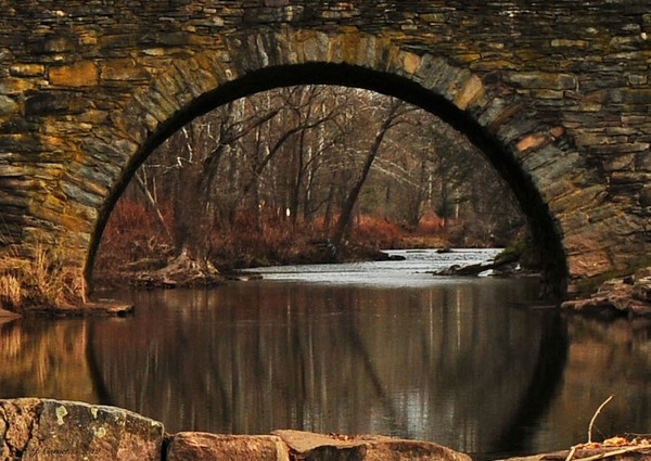 Looking Thru the Arch