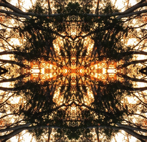 Sunset Dreamcatcher