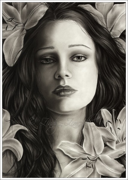 Dark Lily
