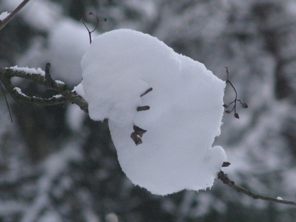 season-winter-city series©2010