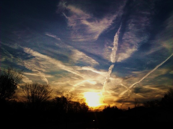 THE MORNING 